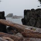    <br>Kayaking in Kyuquot
